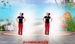 糖豆广场舞视频,活力四射，舞动人生精彩瞬间